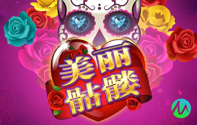 彩虹网官方网站下载